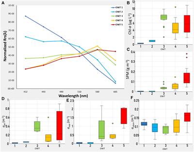 Optical water characterization and atmospheric correction assessment of estuarine and coastal waters around the AERONET-OC Bahia Blanca